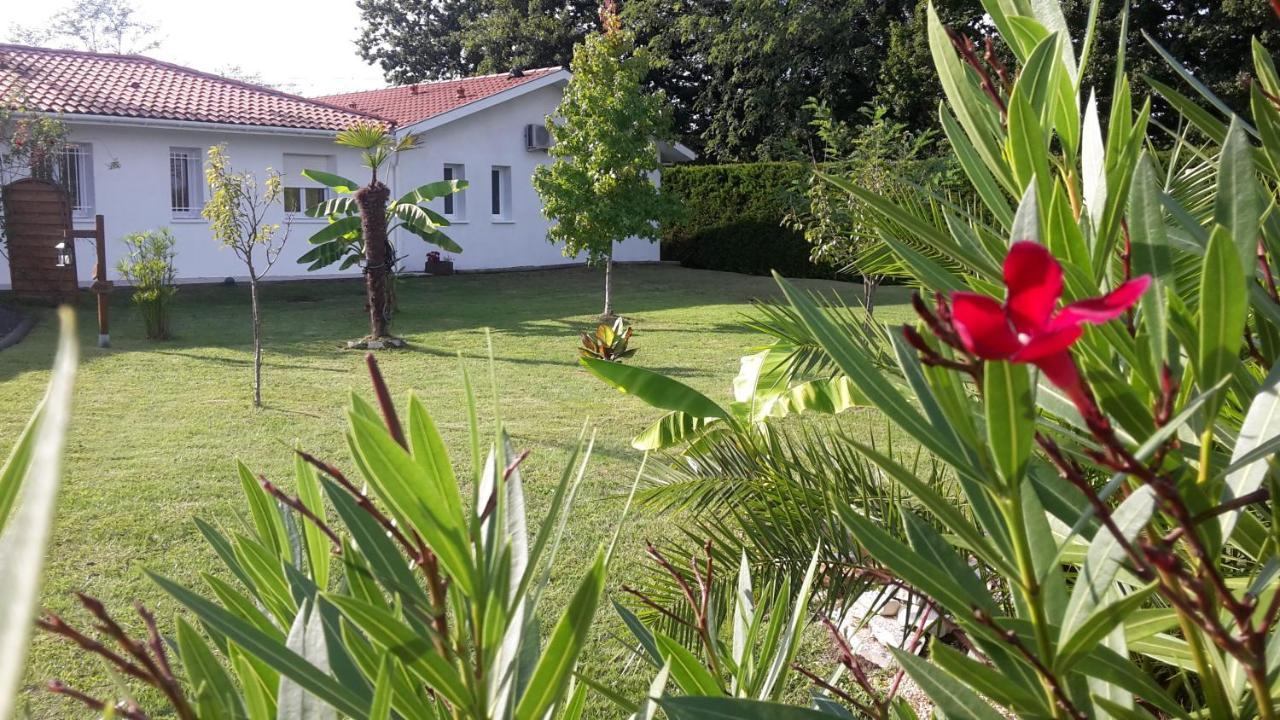Gite & Chambres D'Hotes - Le Petit Bali Saint-Pandelon Exterior photo